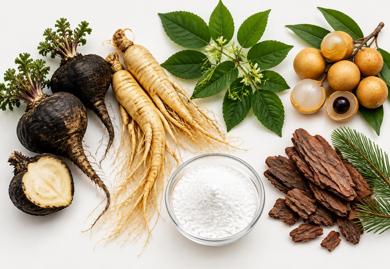 Ingredientes naturais do TadalaPro